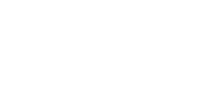 IlonaVisuals Logo